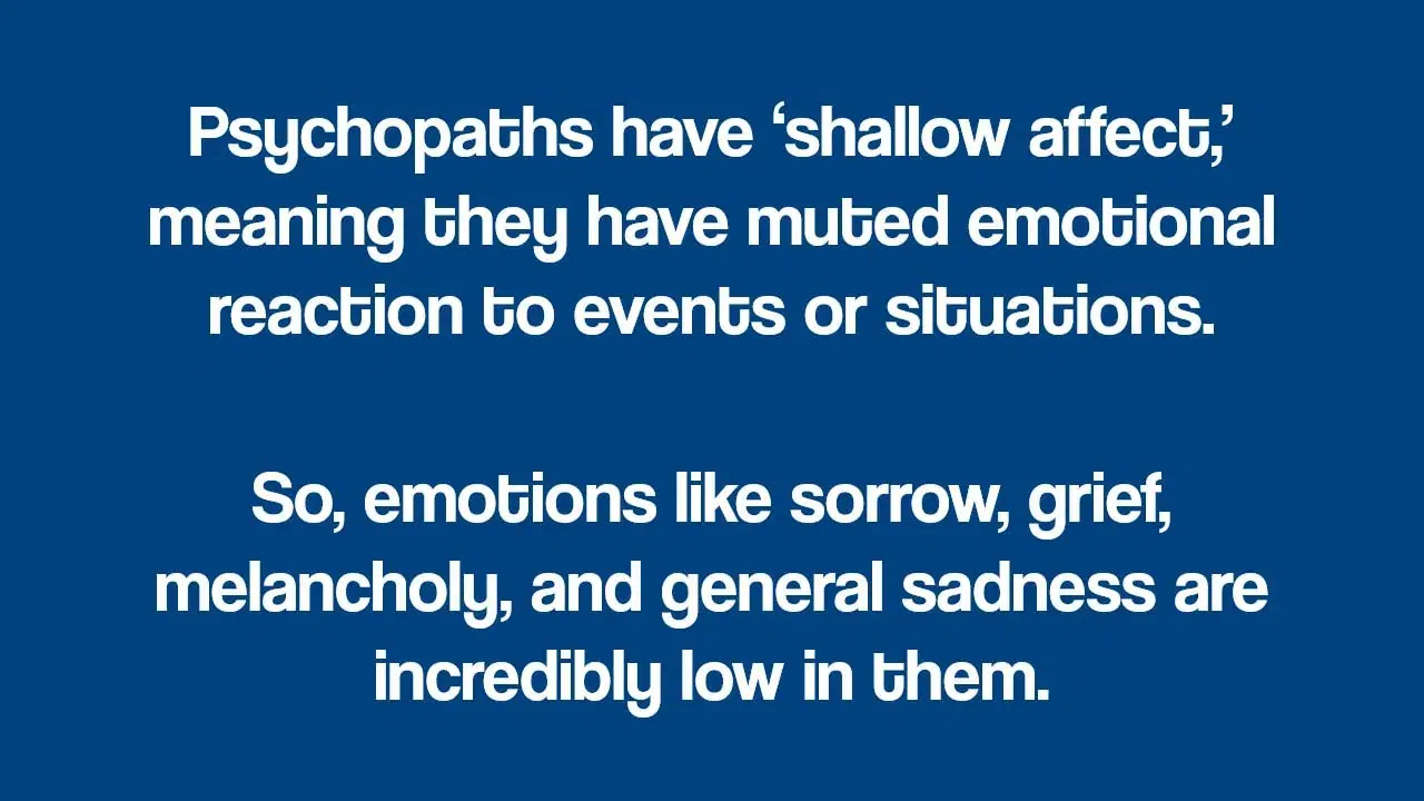 4 Types of Psychopaths: Traits of Psychopathy Explained 3 psychopaths have shallow effect